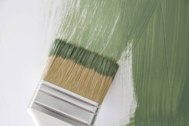 Best Touch-Up Painting  in Tanglewilde, WA